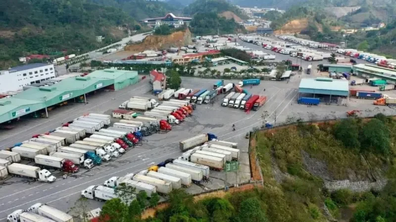 Perdagangan Lintas Batas Tingkatkan Potensi Ekonomi Halal 2026