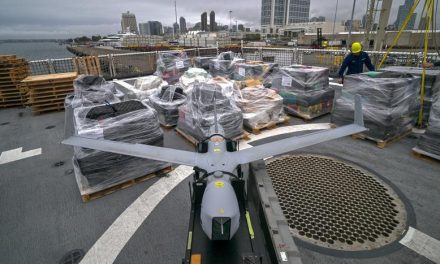 Organisasi Kartel Yang Terorganisir Di Suatu Wilayah Besar