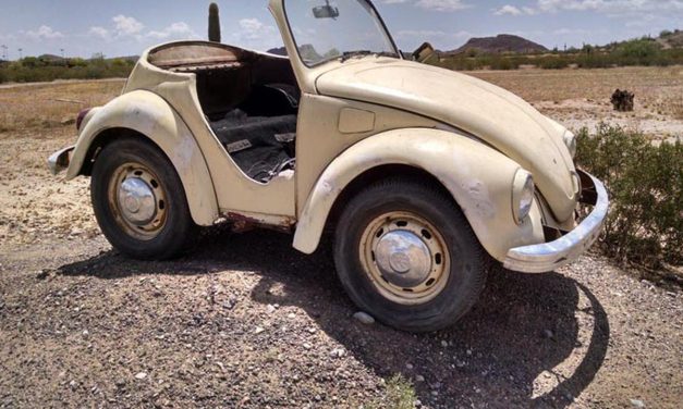 Kendaraan Vw Atau Mobil Kodok Yang Lucu