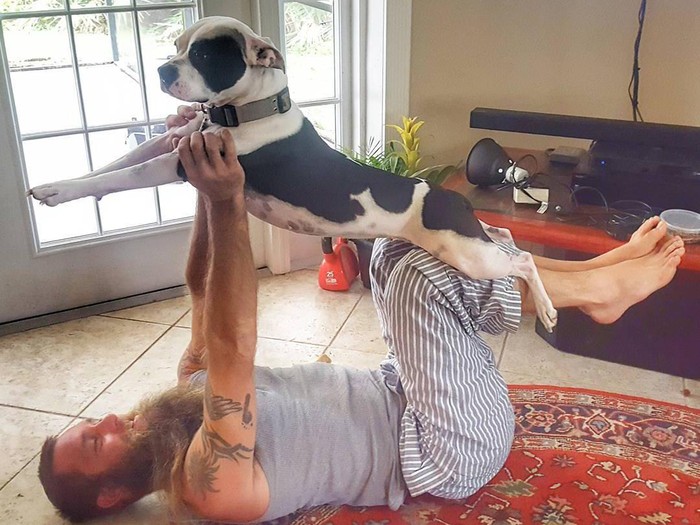 Senam Anjing Atau Dog Yoga Yang Melakukannya Dengan Hewan