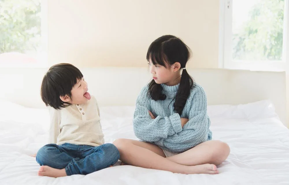 Pernyataan Seseorang Anak Bungsu Dalam Kehidupannya