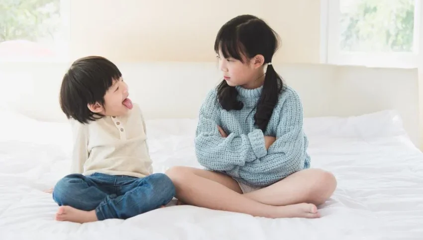 Pernyataan Seseorang Anak Bungsu Dalam Kehidupannya