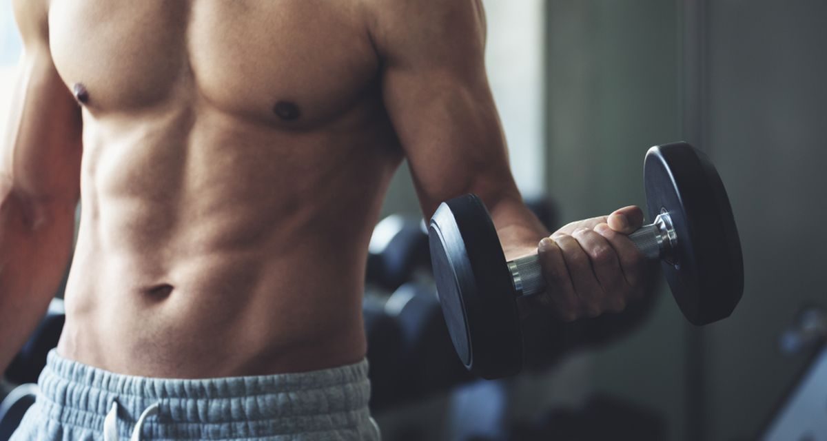 Pembentukan Otot Gym Yang Rutin Di Lakukan