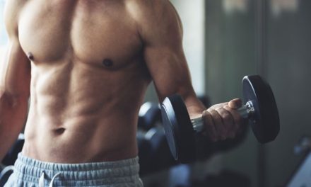 Pembentukan Otot Gym Yang Rutin Di Lakukan