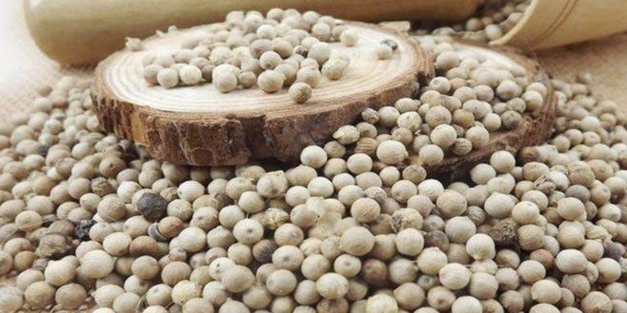 Bahan Dapur Merica Yang Banyak Di Butuhkan