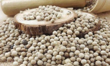 Bahan Dapur Merica Yang Banyak Di Butuhkan