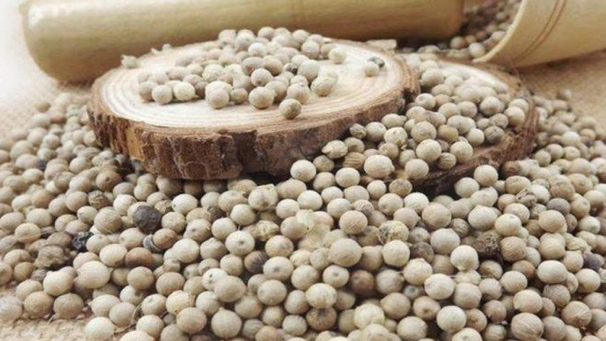 Bahan Dapur Merica Yang Banyak Di Butuhkan