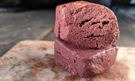 Bahan Tradisional Terasi Untuk Berbagai Jenis Makanan