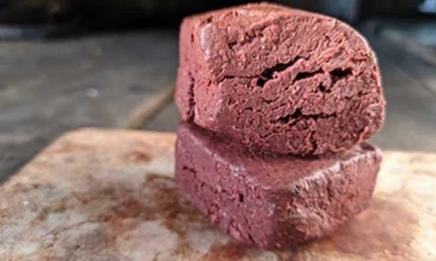 Bahan Tradisional Terasi Untuk Berbagai Jenis Makanan