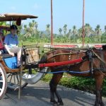 Transportasi Tradisional Delman Dengan Hewan Kuda