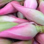 Bahan Masak Kincung Untuk Beberapa Hidangan