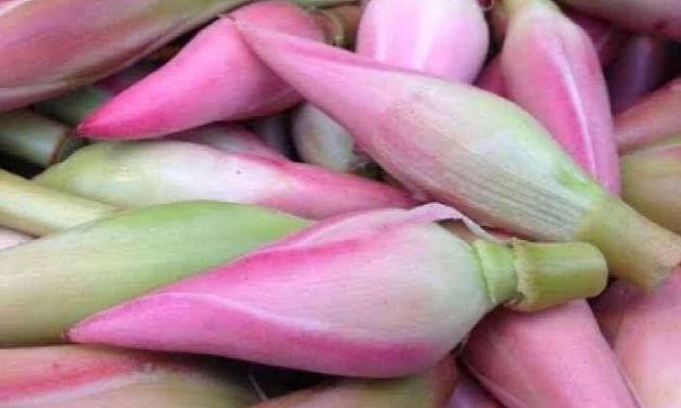 Bahan Masak Kincung Untuk Beberapa Hidangan