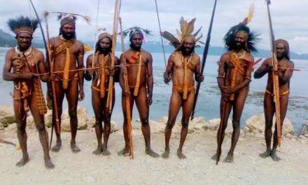 Budaya Berpakaian Adat Koteka Dari Masyarakat Papua