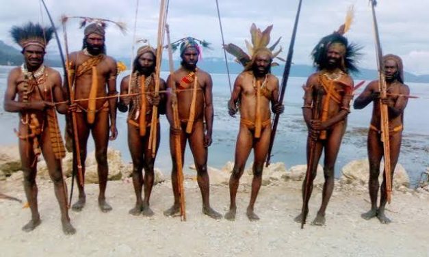 Budaya Berpakaian Adat Koteka Dari Masyarakat Papua