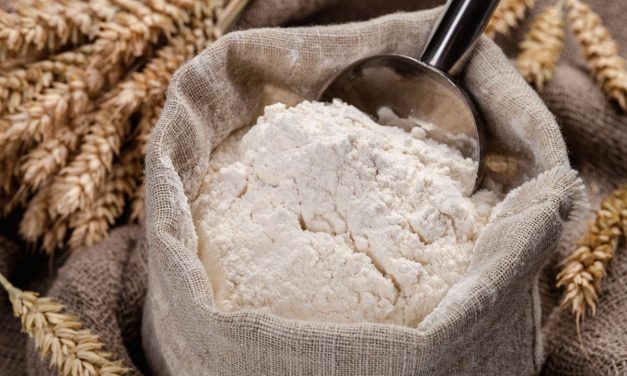 Bahan Dasar Masakan Tepung Dengan Banyak Olahan