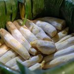 Makanan Lembut Tape Yang Melalui Fermentasi