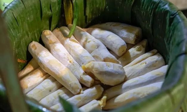 Makanan Lembut Tape Yang Melalui Fermentasi
