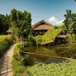 Trend Gaya Hidup Seseorang Slow Living