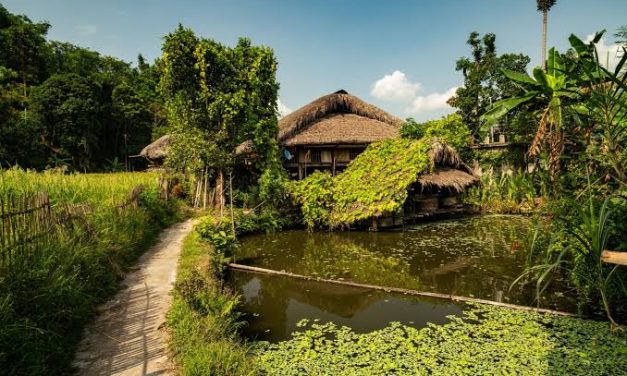 Trend Gaya Hidup Seseorang Slow Living