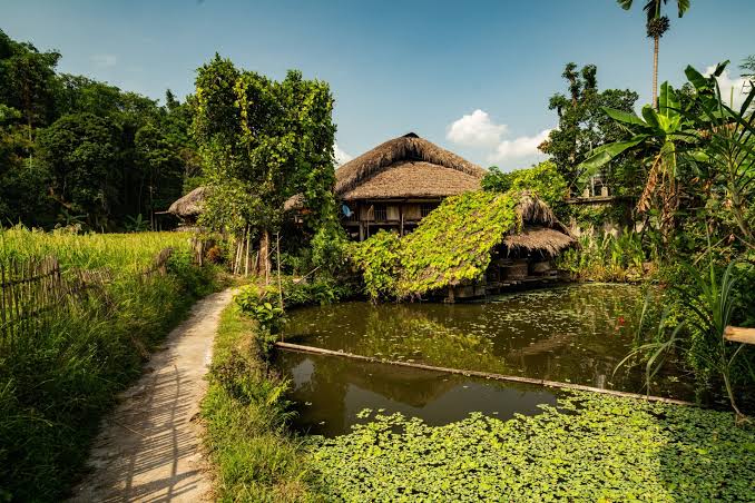 Trend Gaya Hidup Seseorang Slow Living